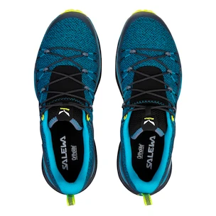 Herren-Outdoorschuhe Salewa  MS Dropline