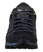 Herren-Outdoorschuhe Salewa  MS MTN Trainer Lite Gtx Black/Black