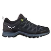 Herren-Outdoorschuhe Salewa  MS MTN Trainer Lite Gtx Black/Black