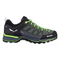 Herren-Outdoorschuhe Salewa  MS MTN Trainer Lite Gtx Myrtle/Ombre Blue  UK 9,5
