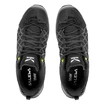 Herren-Outdoorschuhe Salewa  MS Wildfire GTX