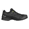 Herren-Outdoorschuhe Salewa  MS Wildfire GTX