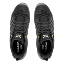 Herren-Outdoorschuhe Salewa  MS Wildfire GTX