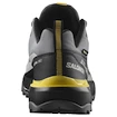Herren-Outdoorschuhe Salomon X Ultra 360 Gore-Tex Castlerock/Black/Spicy Mustard