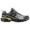 Herren-Outdoorschuhe Salomon X Ultra 360 Gore-Tex Castlerock/Black/Spicy Mustard