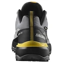 Herren-Outdoorschuhe Salomon X Ultra 360 Gore-Tex Castlerock/Black/Spicy Mustard