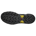 Herren-Outdoorschuhe Salomon X Ultra 360 Gore-Tex Castlerock/Black/Spicy Mustard