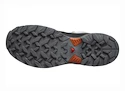 Herren-Outdoorschuhe Salomon  X ULTRA 360 GTX Quiet Shade/Black/Spice Route