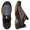 Herren-Outdoorschuhe Salomon X Ultra 360 Leather Gore-Tex Grisaille/Caramel Cafe/Marmalade