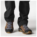 Herren-Outdoorschuhe Salomon X Ultra 360 Leather Gore-Tex Grisaille/Caramel Cafe/Marmalade