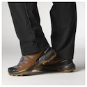 Herren-Outdoorschuhe Salomon X Ultra 360 Leather Gore-Tex Grisaille/Caramel Cafe/Marmalade