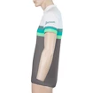 Herren Radtrikot Sensor  Cyklo Summer Stripe Grey/Green