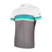Herren Radtrikot Sensor  Cyklo Summer Stripe Grey/Green