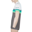 Herren Radtrikot Sensor  Cyklo Summer Stripe Grey/Green