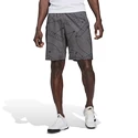 Herren Shorts adidas  Club Graphic Short Grey