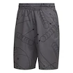 Herren Shorts adidas  Club Graphic Short Grey L