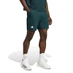 Herren Shorts adidas  Tennis Climacool Ergo Shorts Aurora Ivy