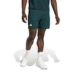 Herren Shorts adidas  Tennis Climacool Ergo Shorts Aurora Ivy