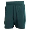 Herren Shorts adidas  Tennis Climacool Ergo Shorts Aurora Ivy