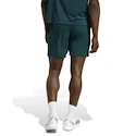 Herren Shorts adidas  Tennis Climacool Ergo Shorts Aurora Ivy