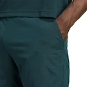 Herren Shorts adidas  Tennis Climacool Ergo Shorts Aurora Ivy