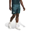 Herren Shorts adidas  Tennis Pro Climacool Ergo Shorts Aurora Ivy