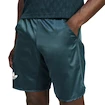 Herren Shorts adidas  Tennis Pro Climacool Ergo Shorts Aurora Ivy