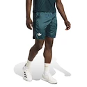 Herren Shorts adidas  Tennis Pro Climacool Ergo Shorts Aurora Ivy