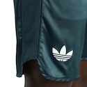 Herren Shorts adidas  Tennis Pro Climacool Ergo Shorts Aurora Ivy