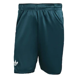 Herren Shorts adidas Tennis Pro Climacool Ergo Shorts Aurora Ivy