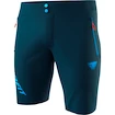 Herren Shorts  Dynafit  Transalper Light DST Petrol