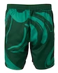 Herren Shorts Fila  Shorts Leo Aventurine/Print