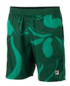 Herren Shorts Fila  Shorts Leo Aventurine/Print