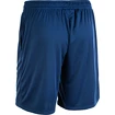 Herren Shorts FZ Forza  Landers Estate Blue