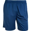 Herren Shorts FZ Forza  Landers Estate Blue