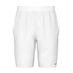 Herren Shorts Head  Performance Shorts Men WH L