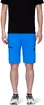 Herren Shorts Mammut  Runbold Shorts Ice