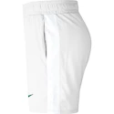 Herren Shorts Nike