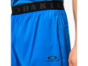 Herren Shorts Oakley  COMPRESSION SHORT 9 2.0