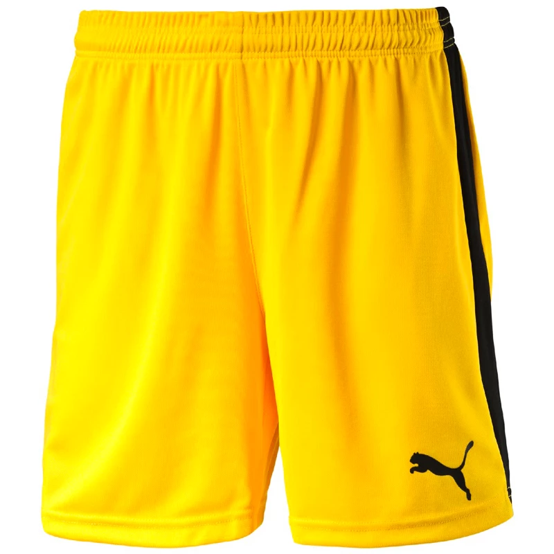 Shorts Puma Pitch Sportega