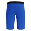 Herren Shorts Salewa  Agner Light DST Electric