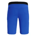 Herren Shorts Salewa  Agner Light DST Electric