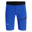 Herren Shorts Salewa  Agner Light DST Electric