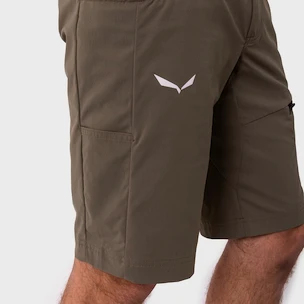 Herren Shorts Salewa  Agner Light DST Electric