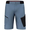 Herren Shorts Salewa  Pedroc 3 DST M Cargo Shorts