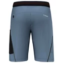 Herren Shorts Salewa  Pedroc 3 DST M Cargo Shorts