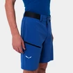 Herren Shorts Salewa  Pedroc Cargo 2 Dst Electric