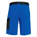 Herren Shorts Salewa  Pedroc Cargo 2 Dst Electric