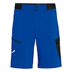 Herren Shorts Salewa  Pedroc Cargo 2 Dst Electric 2X
