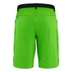Herren Shorts Salewa  Puez 3 Dst Pale Frog